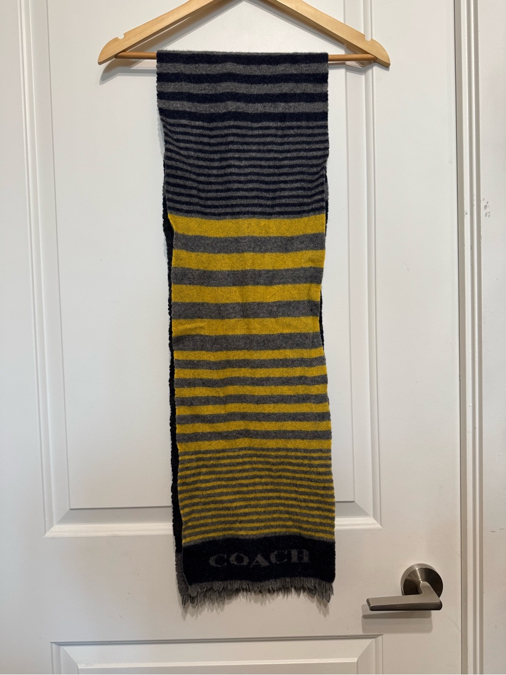Coach Men's Striped Scarf in Yellow & Gray